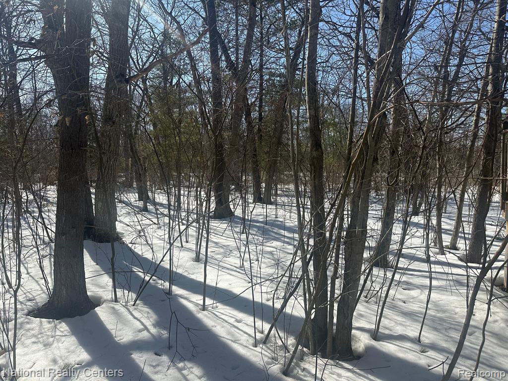 15967 NE SPRUCE Drive E, Presque Isle, MI 49777 — Photo 56