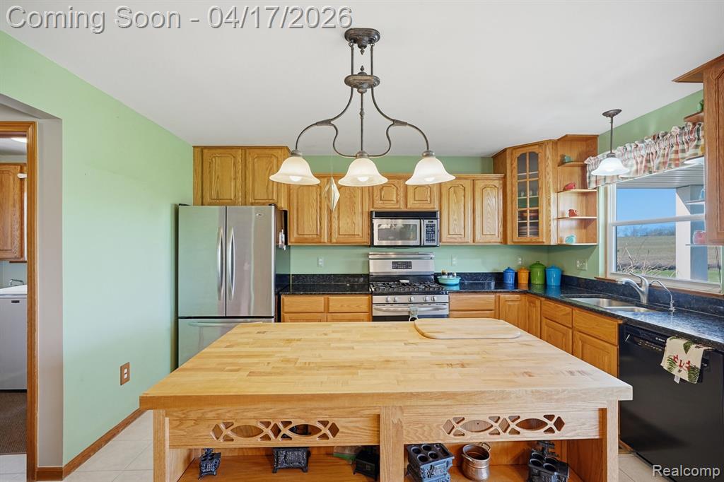 72689 Dequindre Road, Leonard, MI 48367 — Photo 23