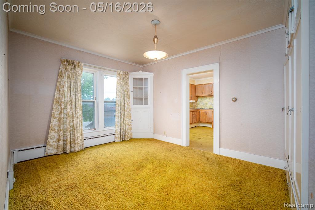 207 N Pine River Street, Ithaca, MI 48847 — Photo 22
