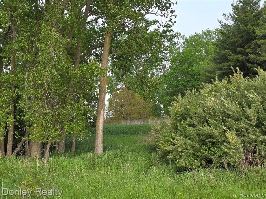 5900 Frenchline Road, Marlette, MI 48453 — Photo 16