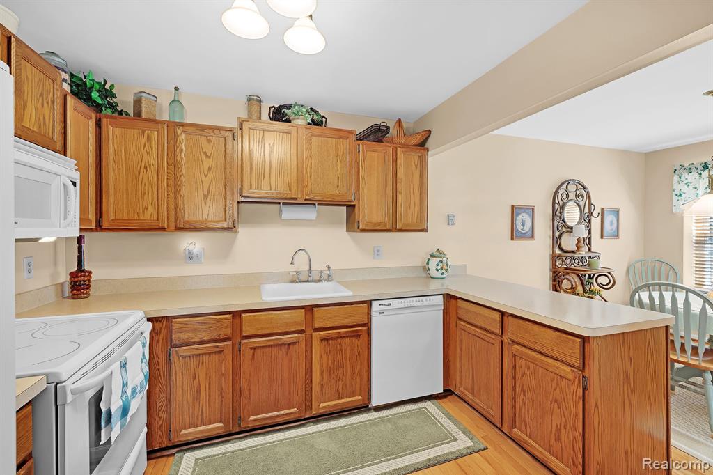 21226 W GLEN HAVEN Circle, Northville, MI 48167 — Photo 9
