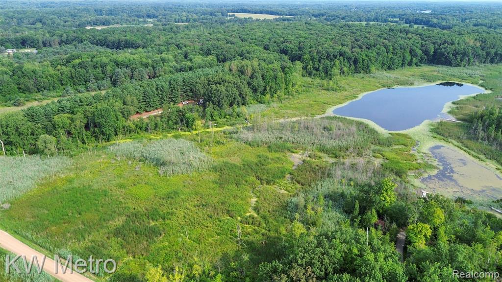 355 Dockham Road, Columbiaville, MI 48421 — Photo 46