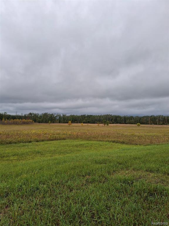 8596 Ross Road, Cheboygan, MI 49721 — Photo 4