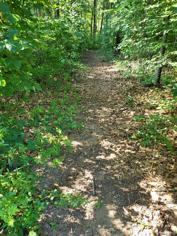 9327 Huron Park Drive, Brighton, MI 48116 — Photo 56