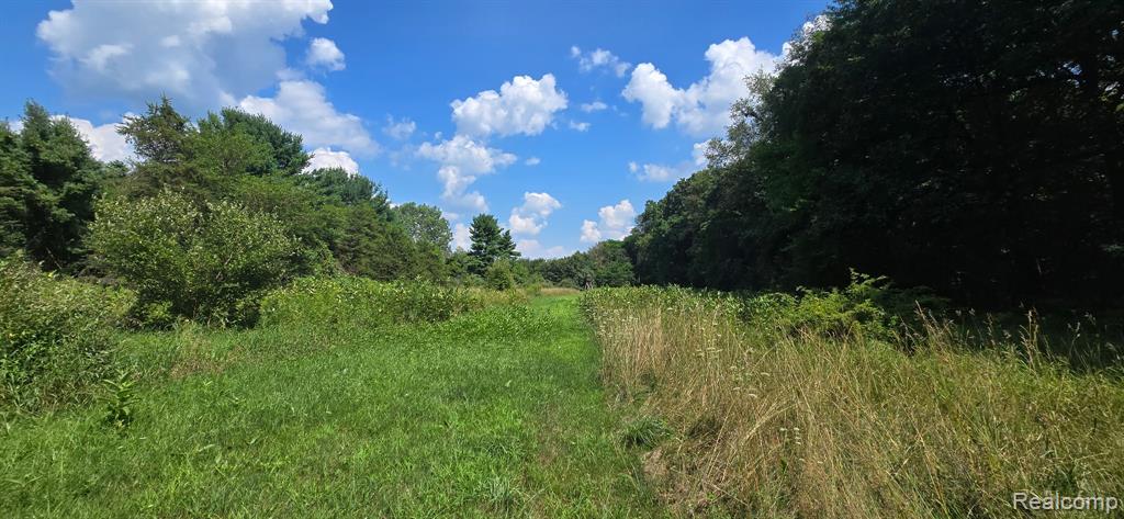 11411 Toma Road, Pinckney, MI 48169 — Photo 14