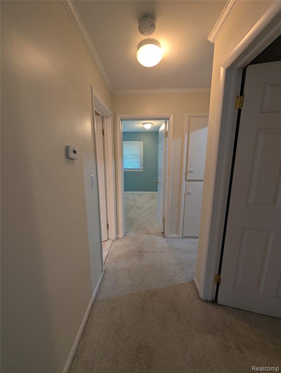 41215 Bruce Avenue, Plymouth, MI 48170 — Photo 19