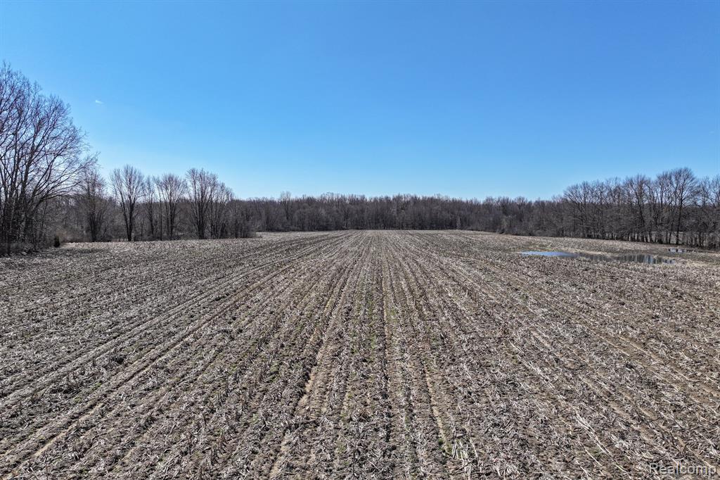 VL Whisper Ridge Drive, Lapeer, MI 48446 — Photo 16