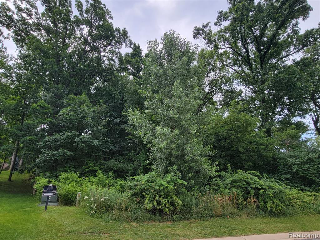 Lot 60 - 5876 Wyndam Lane