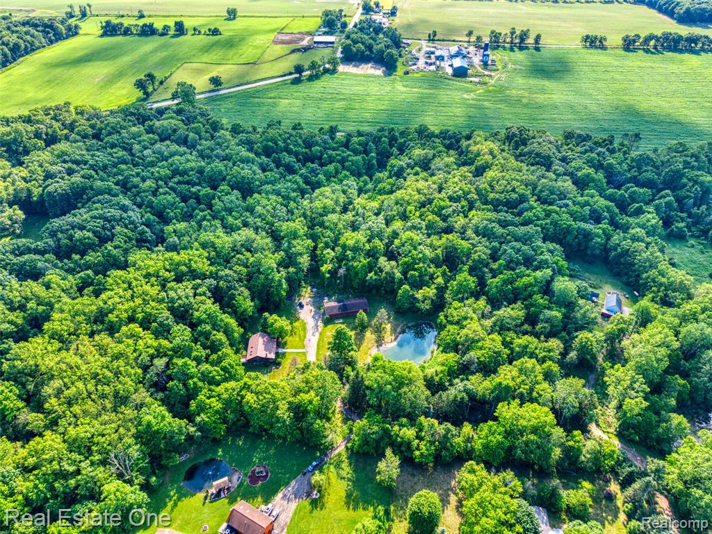 15060 Van Syckle Court, Gregory, MI 48137 — Photo 32