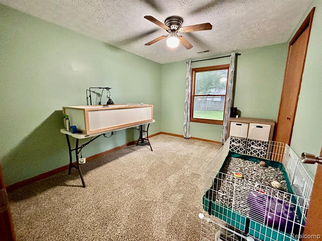 314 Mechanic Street, Stockbridge, MI 49285 — Photo 11