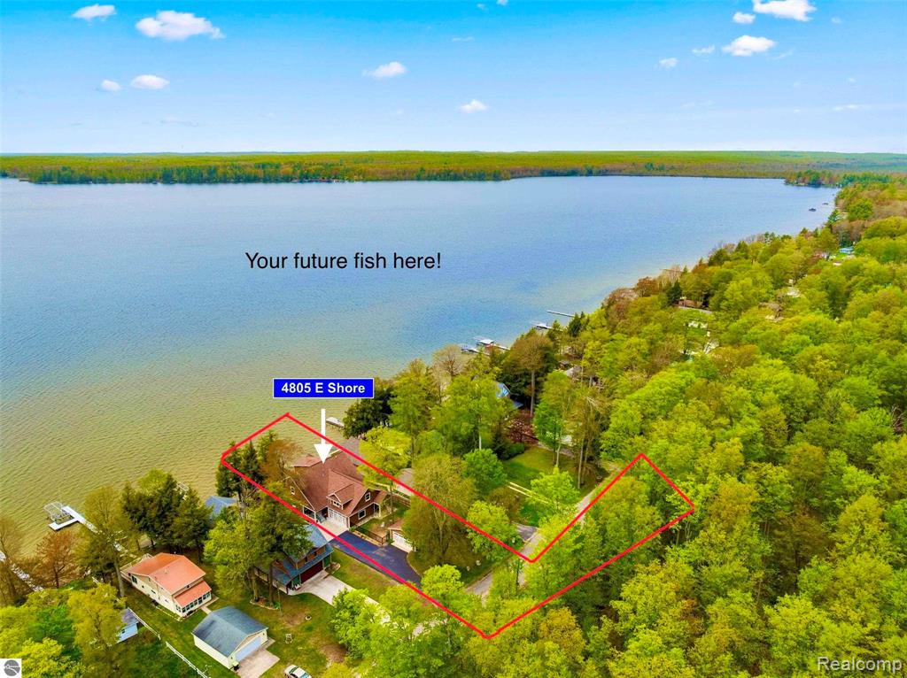 4805 E Shore Drive NE, Kalkaska, MI 49646 — Photo 4