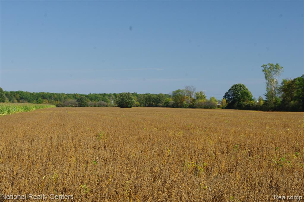 8276 War Road, Newport, MI 48166 — Photo 12