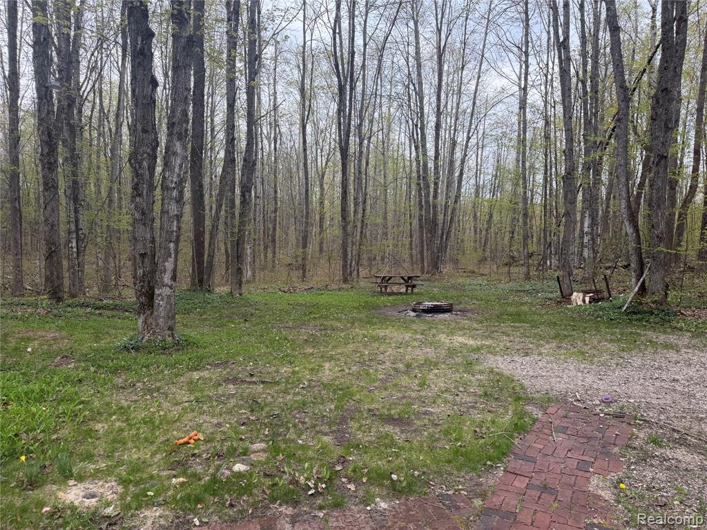 8641 Springdale Drive, Elmira, MI 49730 — Photo 19