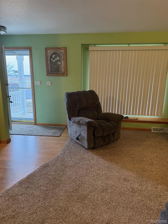 4338 Mertz Road, Mayville Vlg, MI 48744 — Photo 5