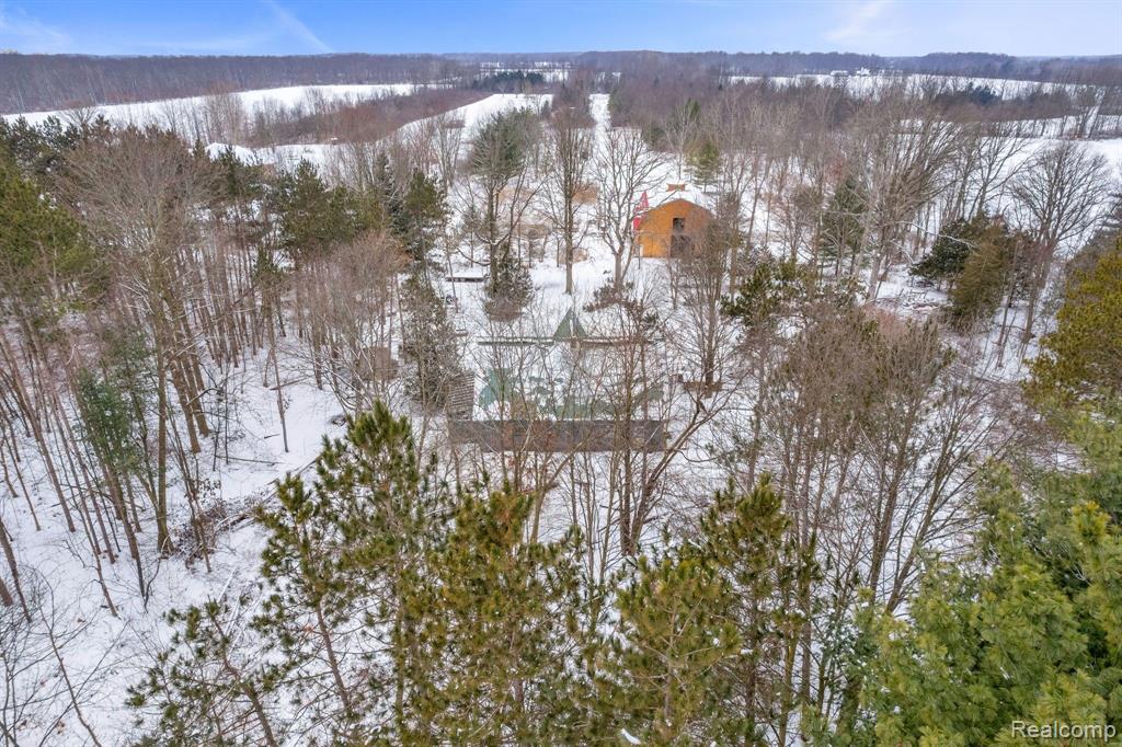 4713 BROWN Road, Kenockee, MI 48006 — Photo 52