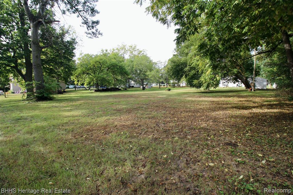 119 ANDRES Street, Chesaning, MI 48616 — Photo 4