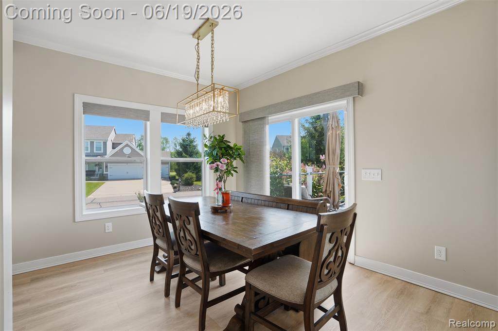 217 Shinnecock Drive, Brighton, MI 48114 — Photo 12