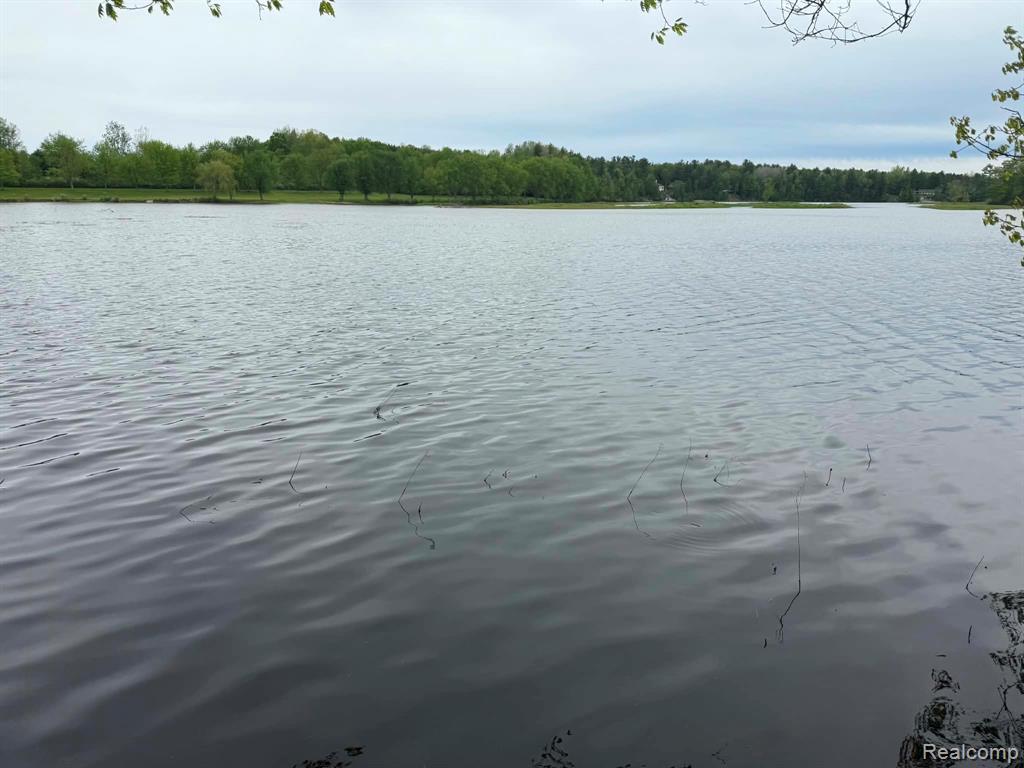 5994 N Lake Sanford Road, Sanford, MI 48657 — Photo 11