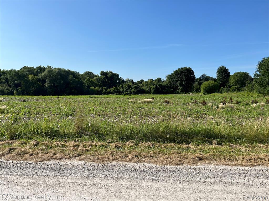VL Lambs Road, Goodells, MI — Photo 2