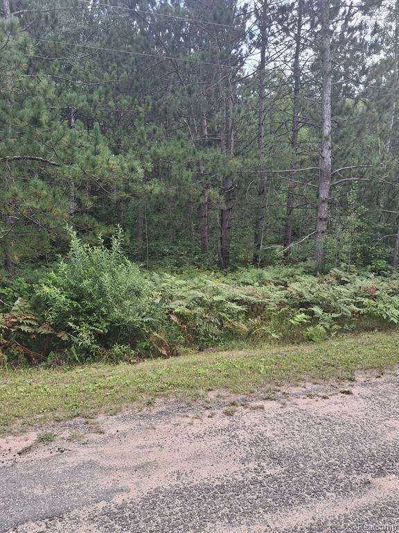 Lot 101 BREEZEWOOD Drive, Mancelona, MI 49659 — Photo 7