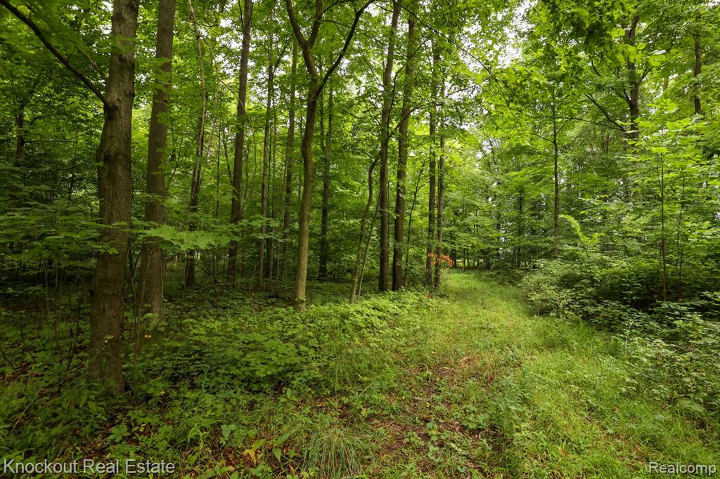 8000 Roedel Road, Frankenmuth, MI 48734 — Photo 17