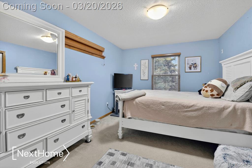27078 Brookview Court, Flat Rock, MI 48134 — Photo 52