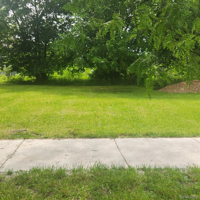 877 MANISTIQUE Street, Detroit, MI 48215 — Photo 3