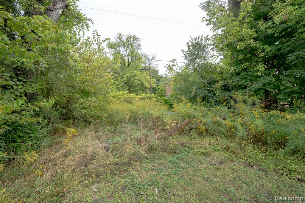 6913 Benson Street, Detroit, MI, 48207