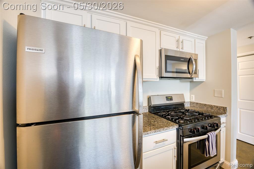 250 E Harbortown Drive, 205, Detroit, MI 48207 — Photo 17