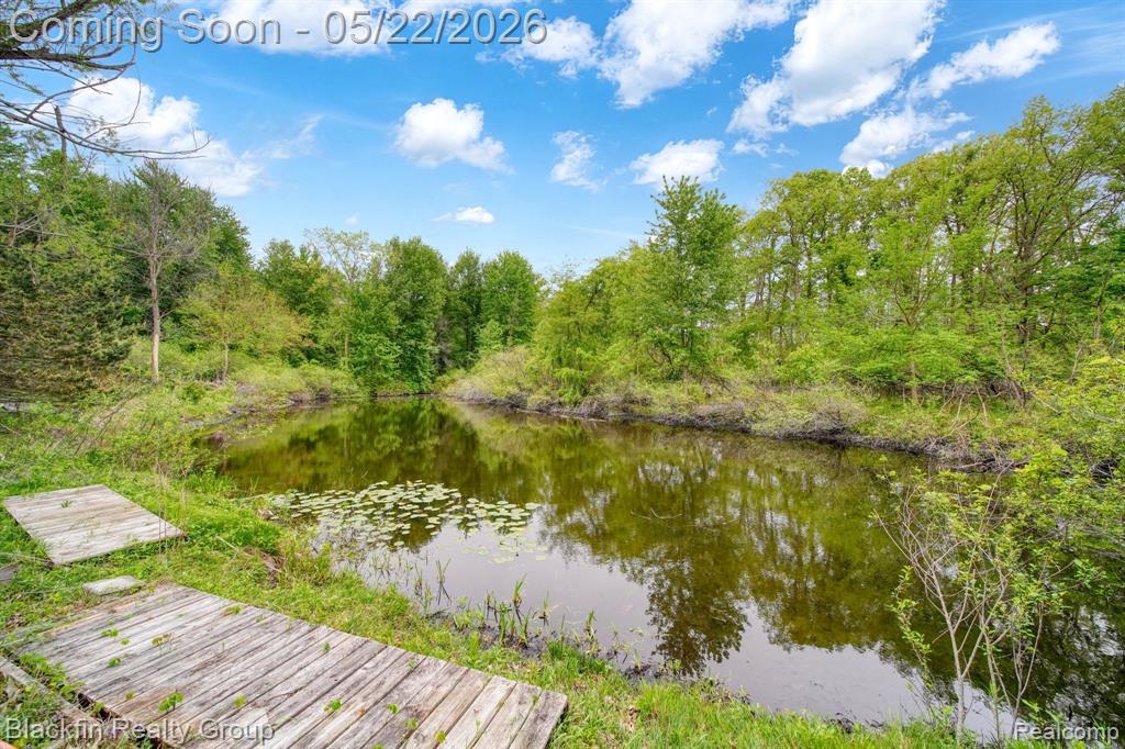 7001 Sweezy Lake Road, Brooklyn, MI 49230 — Photo 50