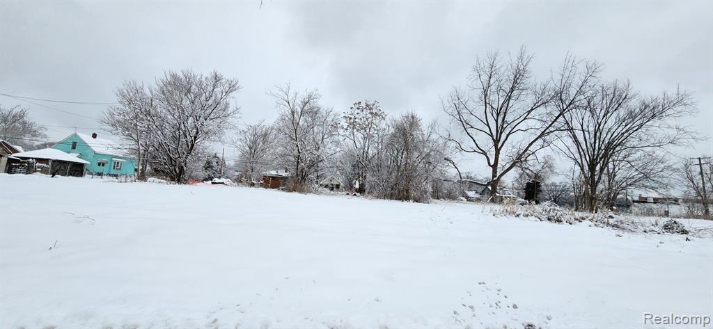 14405 MANNING Street, Detroit, MI 48205 — Photo 4