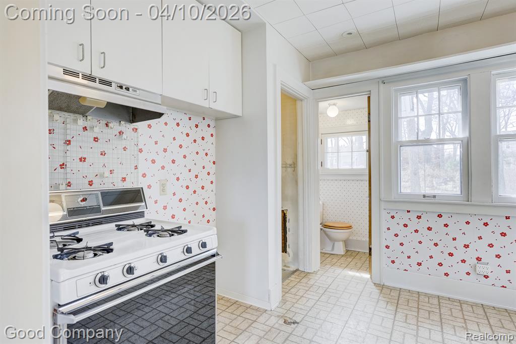 705 W Breckenridge Street, Ferndale, MI 48220 — Photo 22