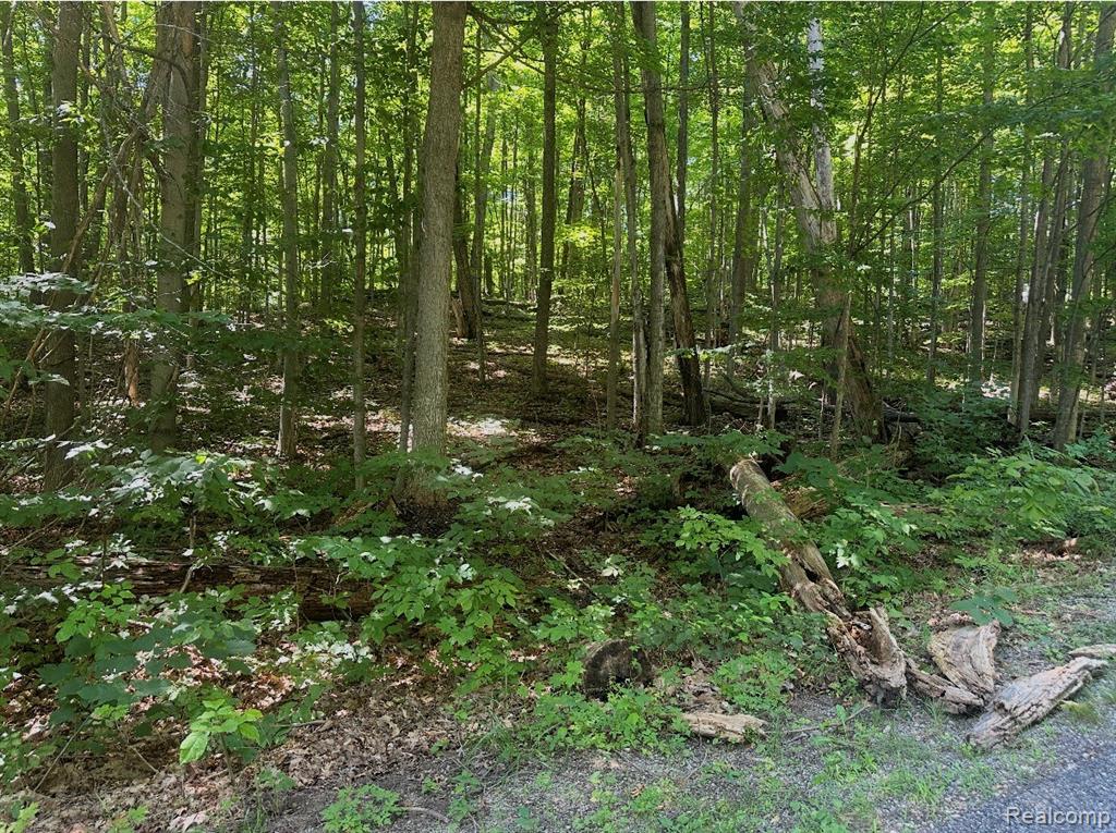 Lot 185 Forestgrove Court ForestGrove Road, Mancelona, MI 49730 — Photo 5