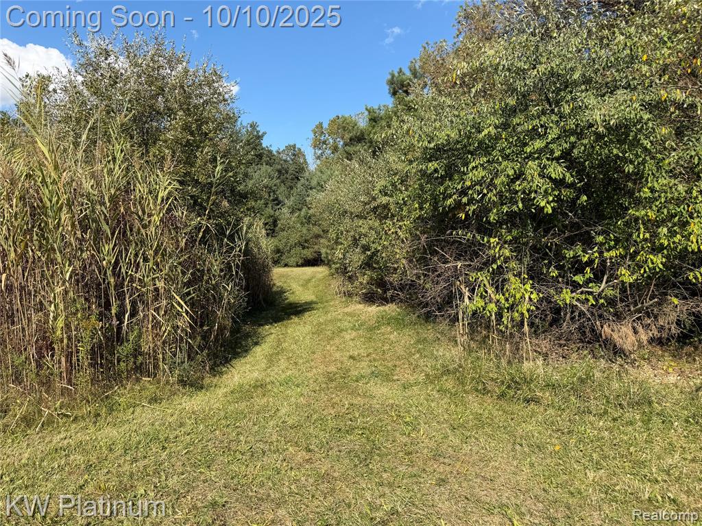 4663 Hessen Road, Casco, MI 48064 — Photo 48