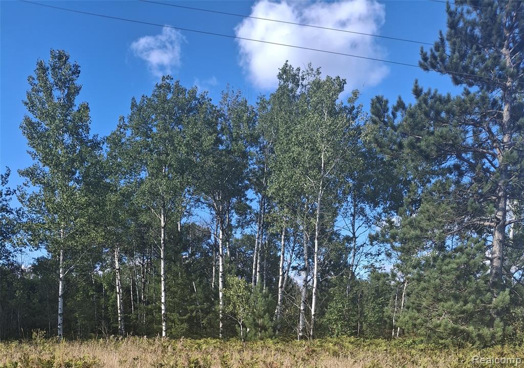Lot 514 Pencil Lake Road, Mancelona, MI 49730 — Photo 3