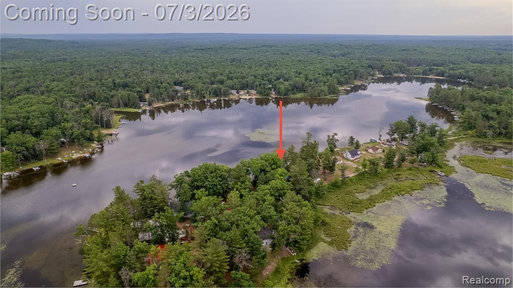 8272 Paradise Drive, South Branch, MI 48761 — Photo 45