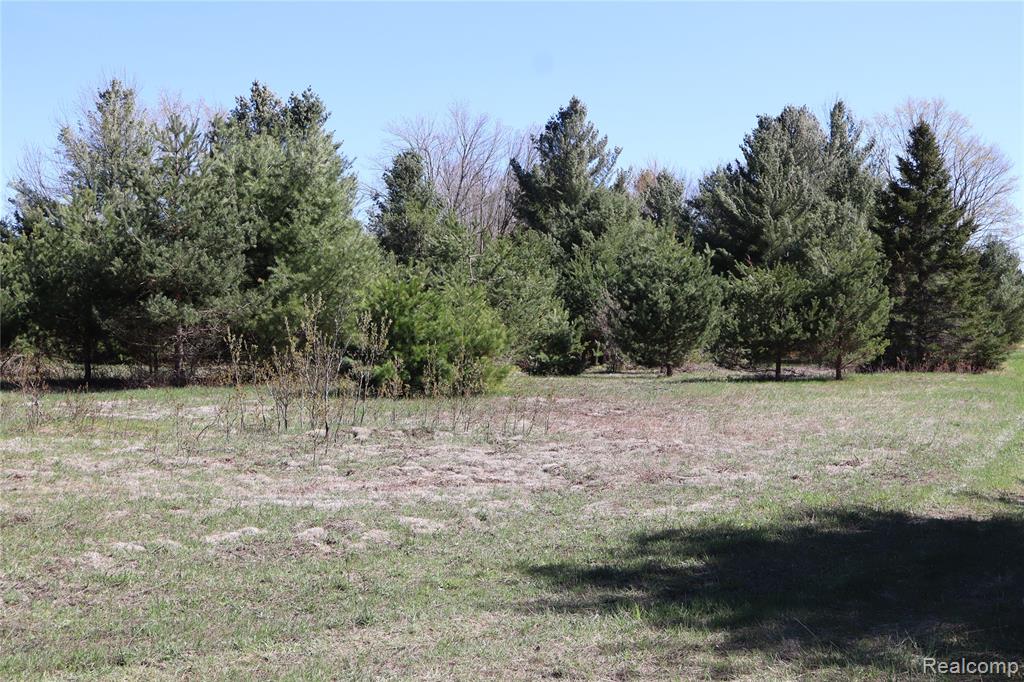 5575 E 26 Mile Road, Pickford, MI 49774 — Photo 27