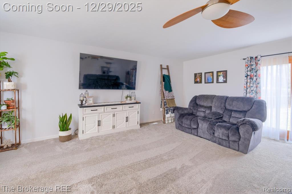 7072 Randee Street, Flushing, MI 48433 — Photo 7