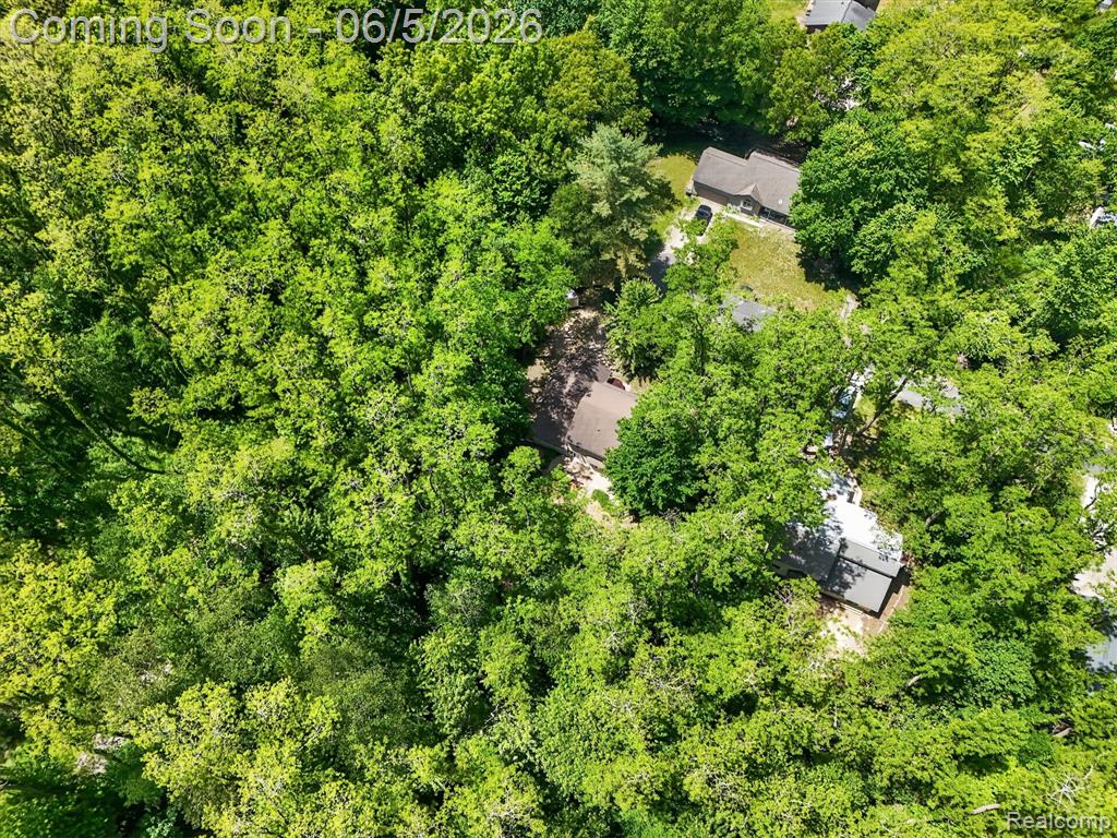 15129 Locust Grove Drive, Byron, MI 48418 — Photo 58