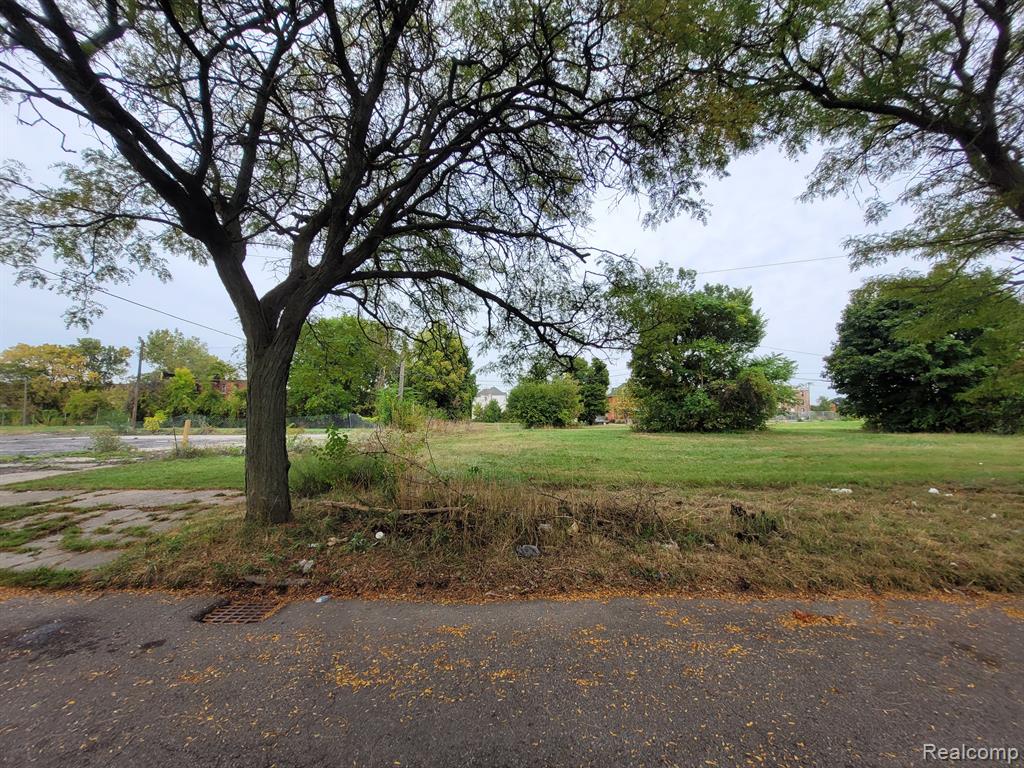 620 CANTON Street, Detroit, MI 48207 — Photo 2