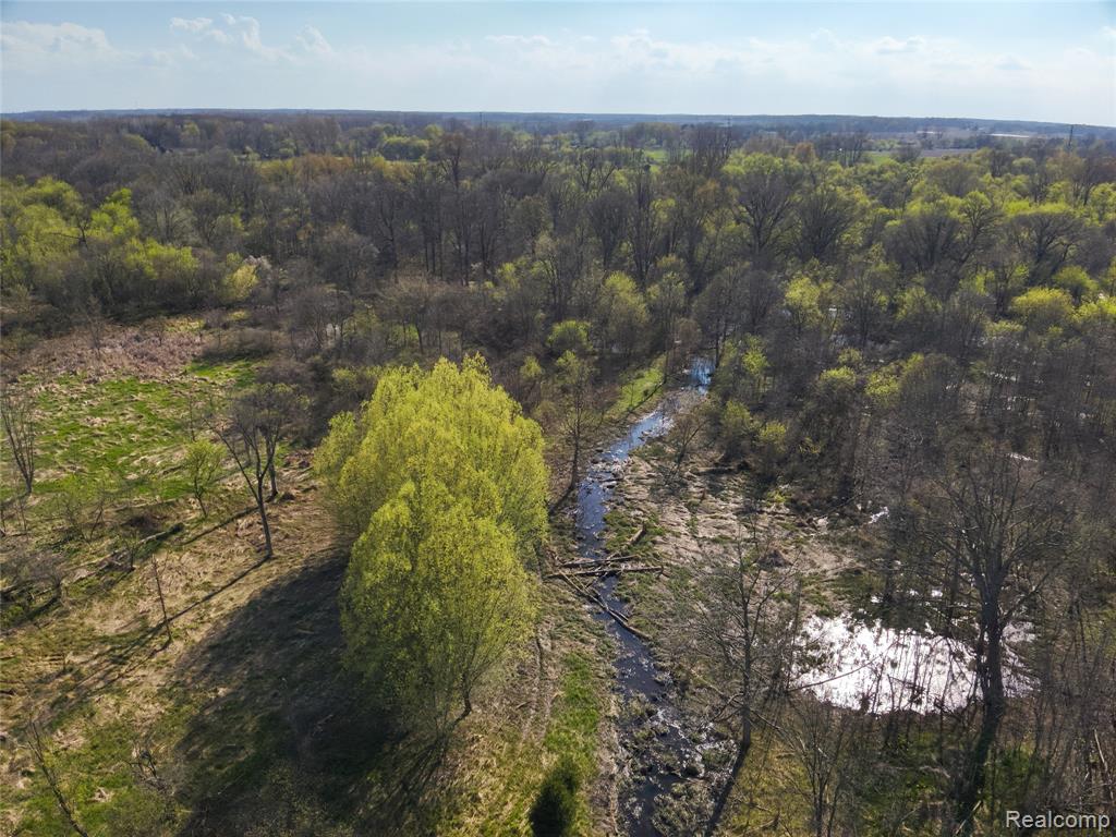 5785 Layton Road, Fowlerville, MI 48836 — Photo 58