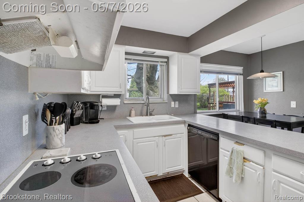 2732 Lacota Road, Waterford, MI 48328 — Photo 12