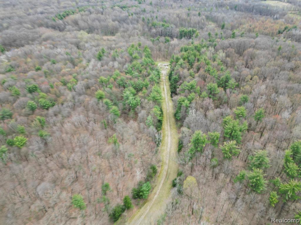 4.23 Acres VL - KNIGHTS BRIDGE Road, Leonard, MI 48367 — Photo 13