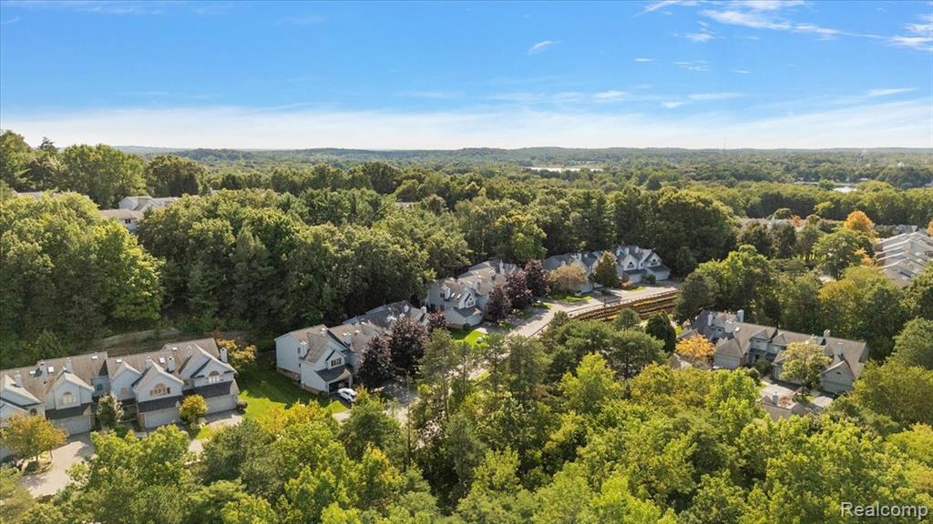 6583 RIDGEVIEW Drive, Clarkston, MI — Photo 58