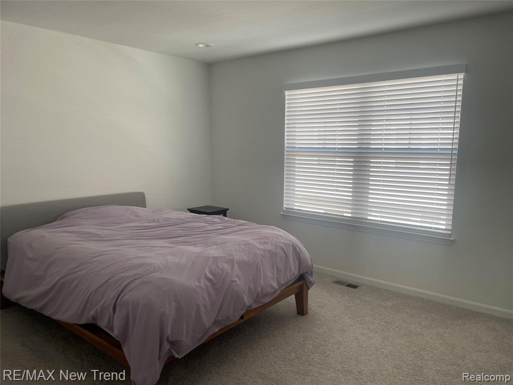 205 Monument Lane, Wixom, MI 48393 — Photo 10