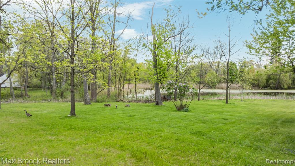 4769 Halsted Road, West Bloomfield, MI 48323 — Photo 6