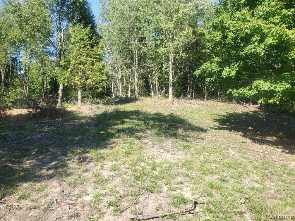 Parcel A Lake Bluff Drive, Arcadia, MI 49613 — Photo 10