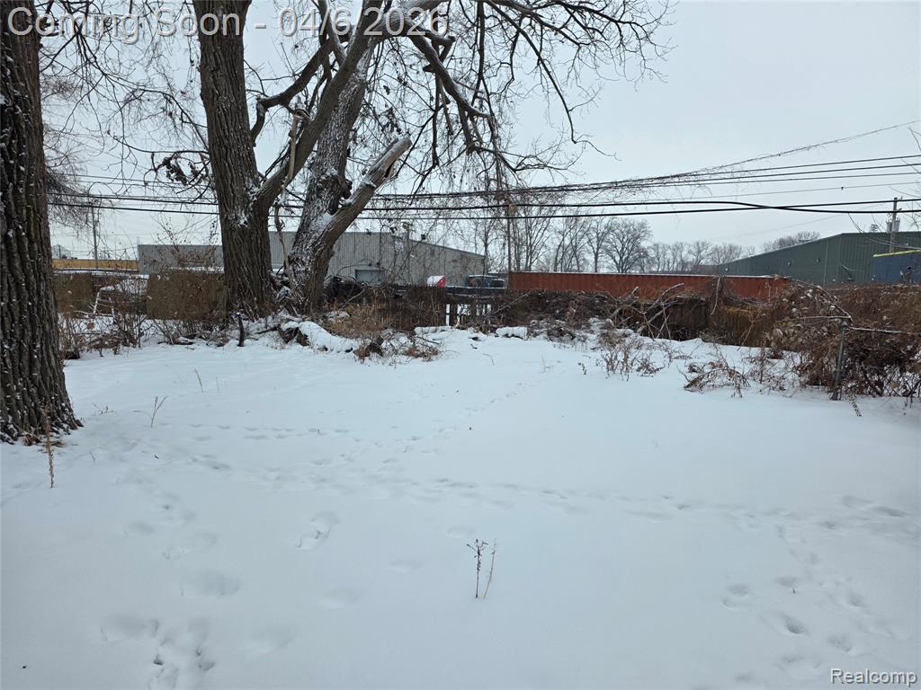 1139 S Bassett Street, Detroit, MI, 48217