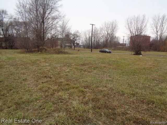 2706 HENDRICKS Street, Detroit, MI 48207 — Photo 7