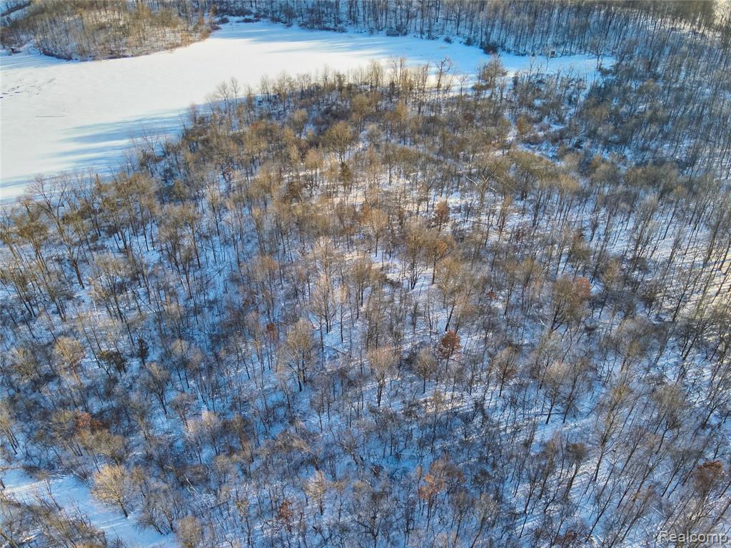 v/l W Us-12 Highway, Manchester, MI 48158 — Photo 22